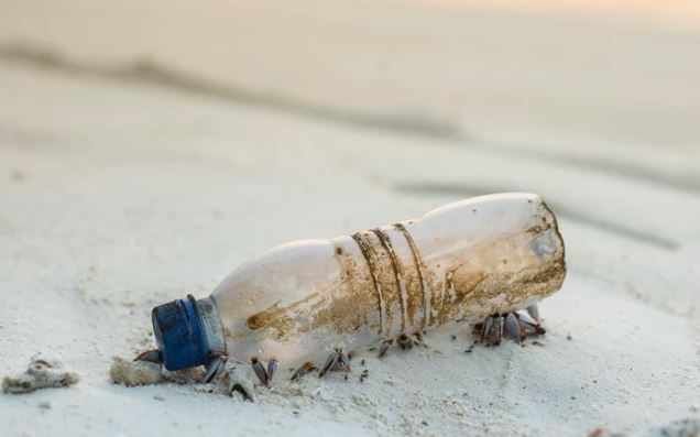 How Can You Reduce Your Plastic Use?